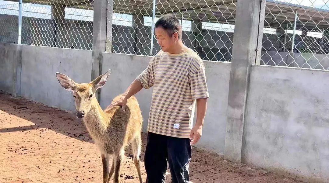 大满贯电子游戏网站